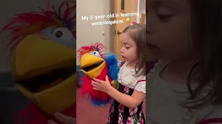 My 2-year-old trying ventriloquism for the first time!