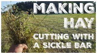 Making Hay - Cutting Hay With a Sickle Bar