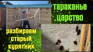 Шок, не то слово. Снос старого курятника. Тараканье царство...