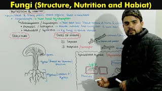 Kingdom Fungi (Fungi Structure, habitat and Nutrition)