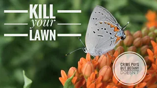 (#123) PSA - Kill Your Lawn w/ Silphium terebinthinaceum