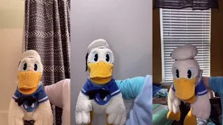 27 Minutes Of Donald Duck TikToks (DONT LAUGH OR SMILE)