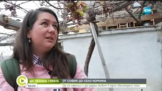 „Да хванеш гората”: Да се ожениш и да дадеш живот в едно обезлюдено село