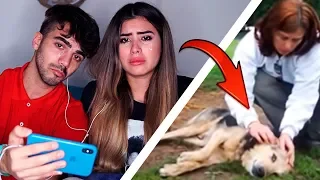 PUEDES VER ESTE VIDEO SIN LLORAR?