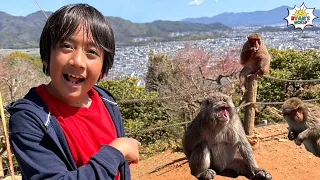 Ryan visits a Real life Monkey Park!