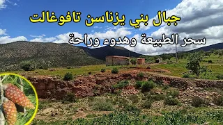 هذا الصباح رحلة استرخاء وسط غابة دوار يعقوب أونوت تافوغالت(طريق وسط غابة)  la campagne au maroc