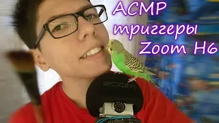 АСМР🎧ЛУЧШИЕ 10 ТРИГГЕРОВ ЗА 10 МИНУТ на Zoom H6/ASMR 10 TRIGGERS IN 10 MINUTES nikinice