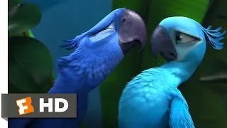 Rio (2/5) Movie CLIP - Not Exactly Lovebirds (2011) HD