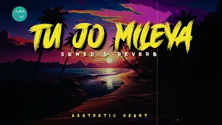 Tu Jo Mileya | Slowed & Reverb | Aesthetic Heart | #slowedandreverb #bollywood #aesthetic #lofi