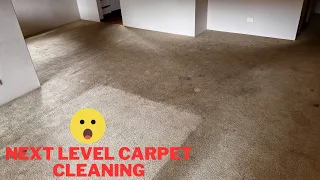 Next Level Carpet Cleaning - The kind of Carpet Cleaning Job we like to sink our teeth into!
