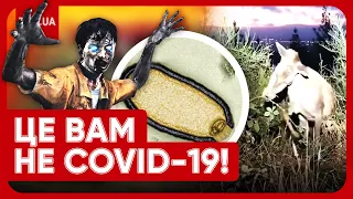 😱😭 ЗОМБІ-ВІРУСИ з Сибіру можуть ЗНИЩИТИ людство?! Вчені б’ють на сполох!