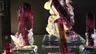 Tucson Gem and Mineral Show