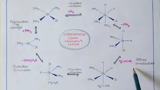 Wilkinson's catalyst - Hydrogenation of alkenes