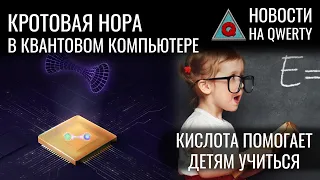 Кротовая нора на квантовом компьютере. Термометр для клетки. ГАМК и обучение. Новости QWERTY №239