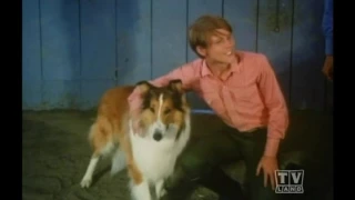 Lassie The Alone Years (Season 17 Eps10Here Comes Glory Part 1)