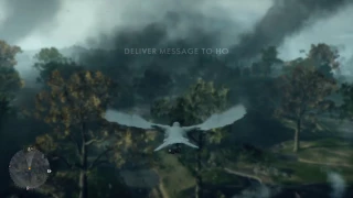 Battlefield 1-Pigeon Message