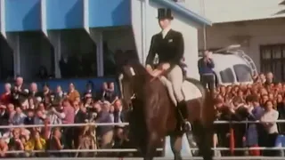 All The Queen's Horses - Full Episode - British Documentary