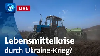 Wie wirkt sich der Ukraine-Krieg auf die weltweite Nahrungsversorgung aus?