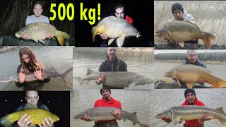 500 kg of fish! half a ton! armageddon bites - but caught