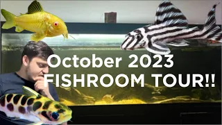 October 2023 Fishroom Tour!!!! ( so much has changed )