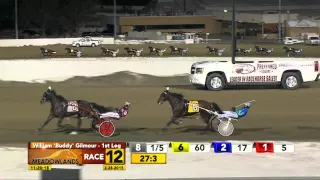 Meadowlands February 28, 2015 - Race 12 - Wiggle It Jiggleit