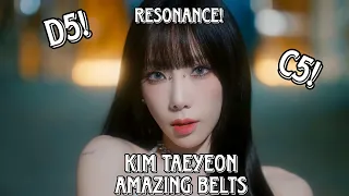 Taeyeon SNSD RESONANCE NOTES