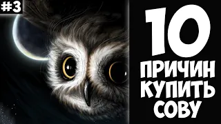 10 причин купить СОВУ - Хозяин Лев