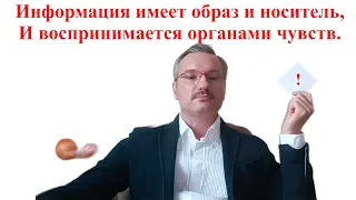 Информация имеет образ и носитель и воспринимается органами чувств