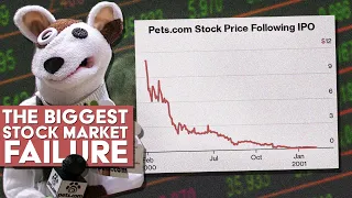 The Story of Pets.Com: The Biggest Stock Market Failure Ever - The Dot-Com Bubble