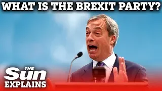 What is the Brexit Party?