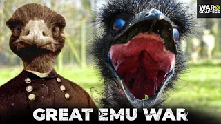 The Great Emu War: When Australia’s Army Took on a Horde of Flightless Birds… and Lost