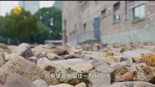 《設計家》王澍專輯--新鄉土主義 寧波博物館  20190501