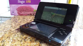 O NINTENDO 3DS E O SAGU | Dia a dia com portáteis #9