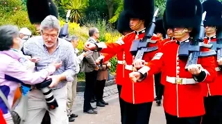 Ozzy Man Reviews: The Queen's Guard