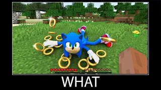 Minecraft wait what meme part 310 realistic minecraft Sonic