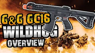 G&G Wild Hog AEGs - Overview