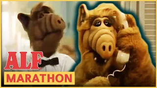 ALF Is a Working Man | ALF | FULL Episode Marathon