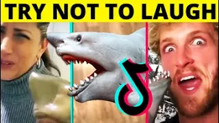 Try Not To Laugh Challenge Funny Shark Puppet 2020