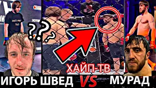 Бой Мурад vs Швед / Мурада против Шведа / #Мурад#Швед#БойМурадаиШведа