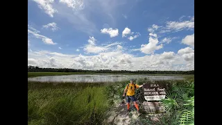 Top Hikes in Ocala National Forest | Florida Trail to Hopkins Prairie
