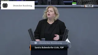 Widerstand gegen AfD-Vorstoß zur direkten Demokratie auf Bundesebene