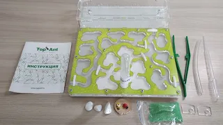 Распаковка муравьиной фермы без муравьев с сайта top.ant!