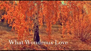 162 SDA Hymn - What Wondrous Love (Singing w/ Lyrics)