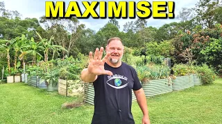 5 Tips How to Maximise Harvests In Your Vegetable Garden