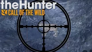 The Hunter Call of the wild | Missions -" The elusive lynx " | Shannonigans