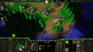 2v2 With Insane AI - Level 10 Demon Hunter, Level 9 Keeper of the Grove - WC3