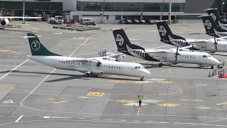 Wellington Intl Airport | Morning Planespotting RWY16
