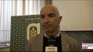 Psa, l'incontro ad Alessandria con il commissario Caputo. Il servizio di Telecity Gold