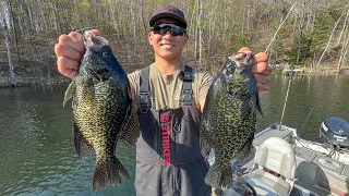 Fishing for GIANT Spawning Crappies! (CATCH CLEAN COOK)
