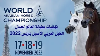 الحصان العربي الأصيل | نهائيات بطولة العالم لجمال الخيل العربي الأصيل بباريس لعام 2022 اليوم الختامي